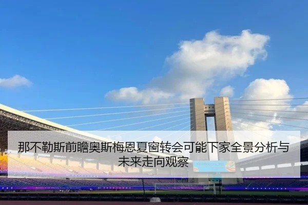 那不勒斯前瞻奥斯梅恩夏窗转会可能下家全景分析与未来走向观察